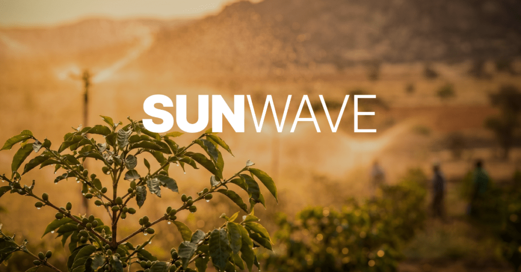 SunWave, il kit di pompaggio solare off-grid di Mac3 e Umbra Pompe: irrigazione di una piantagione al tramonto